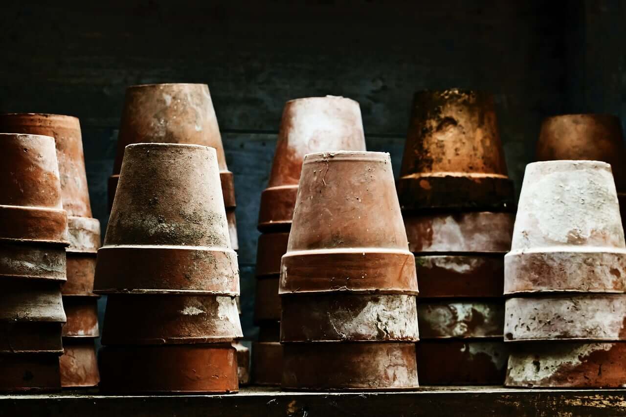 Tips and Tricks for a Successful Terracotta Pots Experience! 3 pots, grunge, flower
