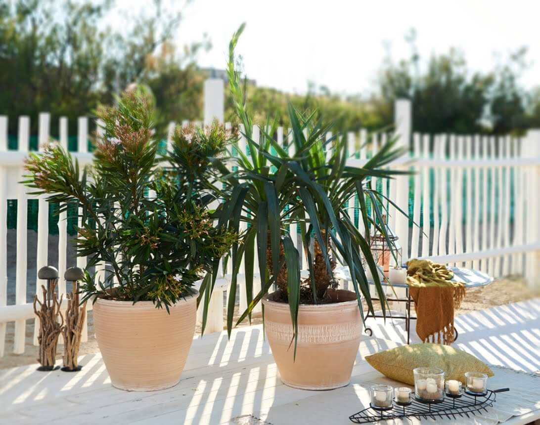 Home 21 Terracotta Planters