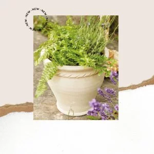 A plant pot with lavender and ferns, adding a touch of nature and tranquility to any space.