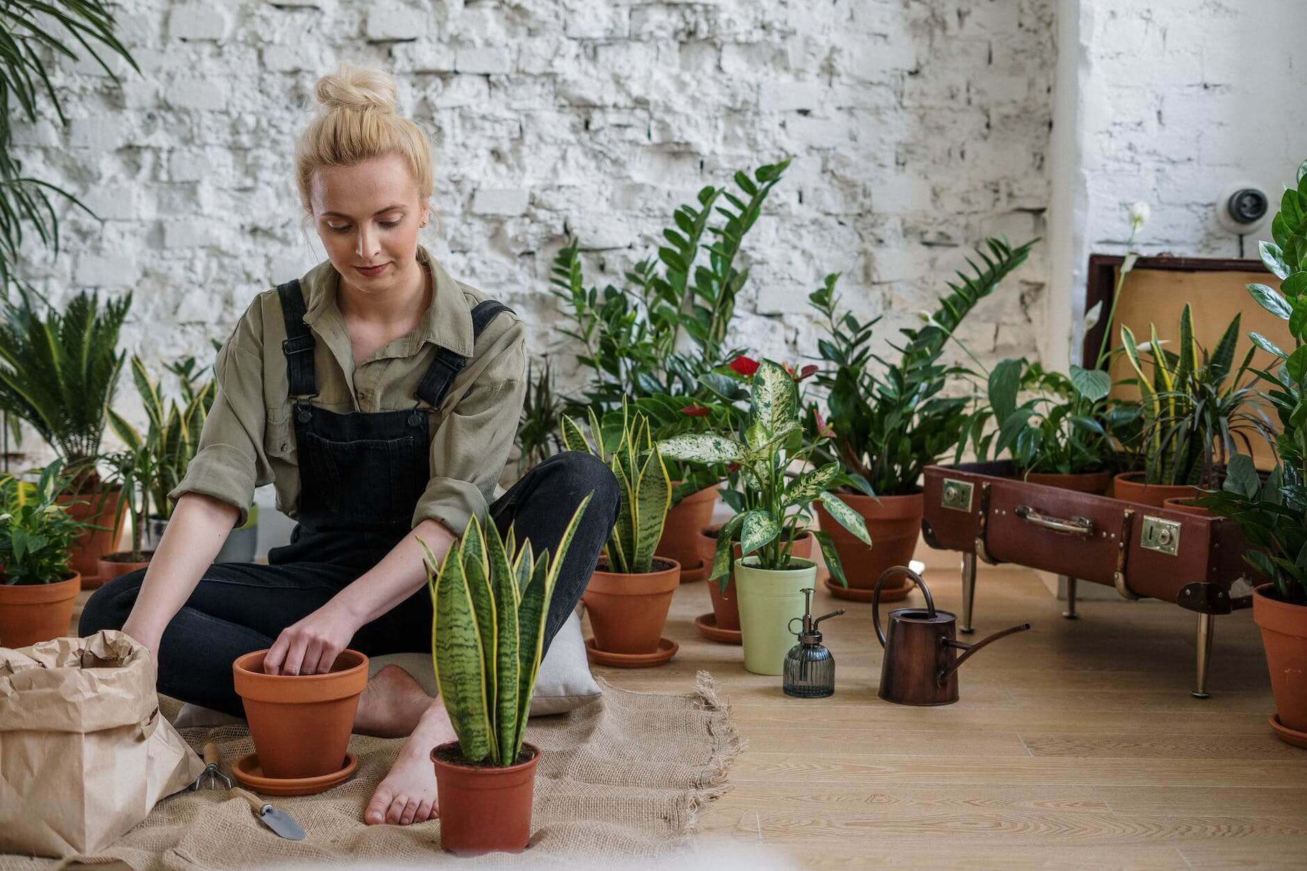 Tips and Tricks for a Successful Terracotta Pots Experience! 10 care for pots 2