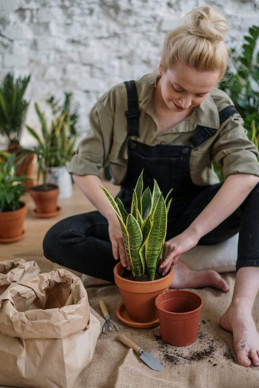 Tips and Tricks for a Successful Terracotta Pots Experience! 14 care of pots 3