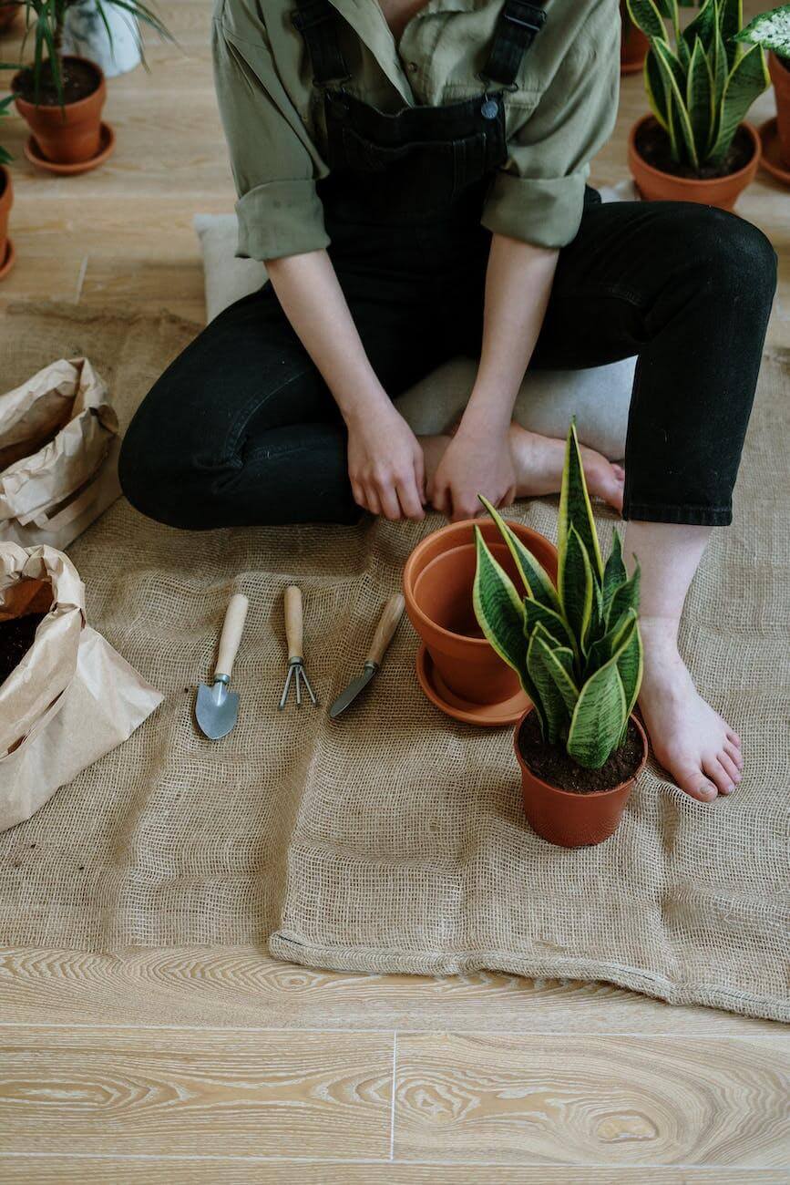 Tips and Tricks for a Successful Terracotta Pots Experience! 11 care of pots 4