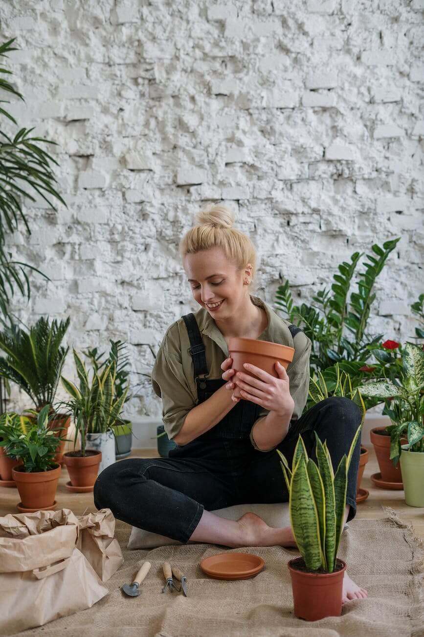 Tips and Tricks for a Successful Terracotta Pots Experience! 12 caring of pots