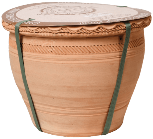 Flower pots Dholki Vase