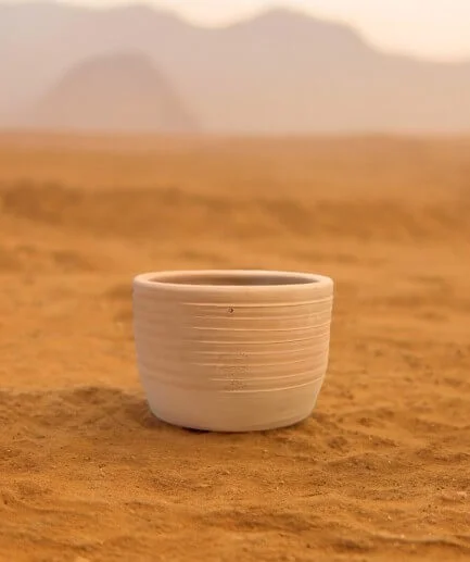 bonsai pot on ground