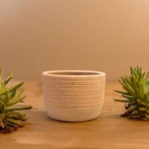 Range of Terracotta Pots 17 bonsai small pot for cactus