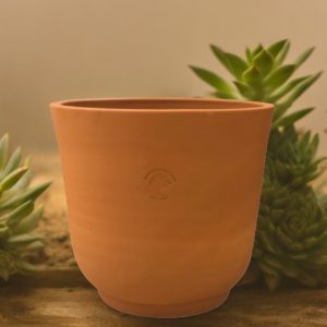 Range of Terracotta Pots 9 cup shaped small pot around succulents