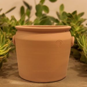 Range of Terracotta Pots 14 small clay planter with many succulents around