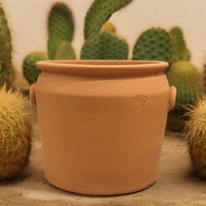 handle pot natural terracotta with cactus