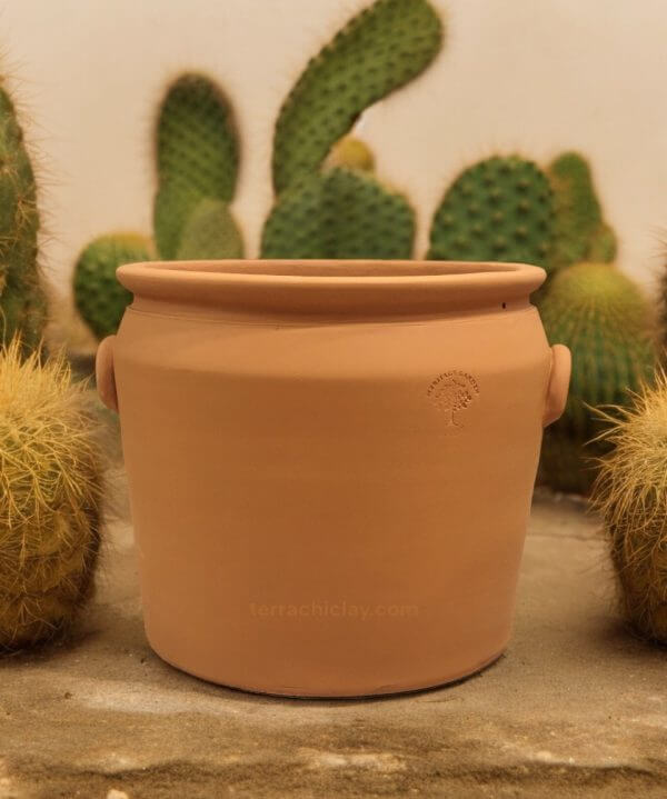 handle pot natural terracotta with cactus