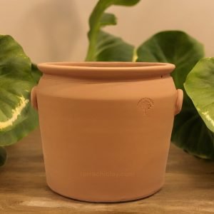 Range of Terracotta Pots 13 clay planter with green leaves on wooden table