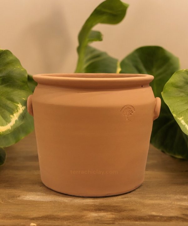 clay planter with green leaves on wooden table