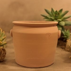Range of Terracotta Pots 12 handle red terracotta with succulents