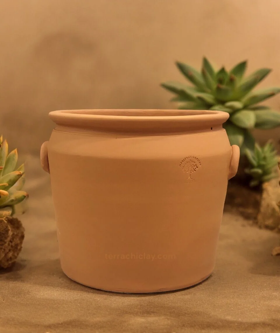 bonsai planter