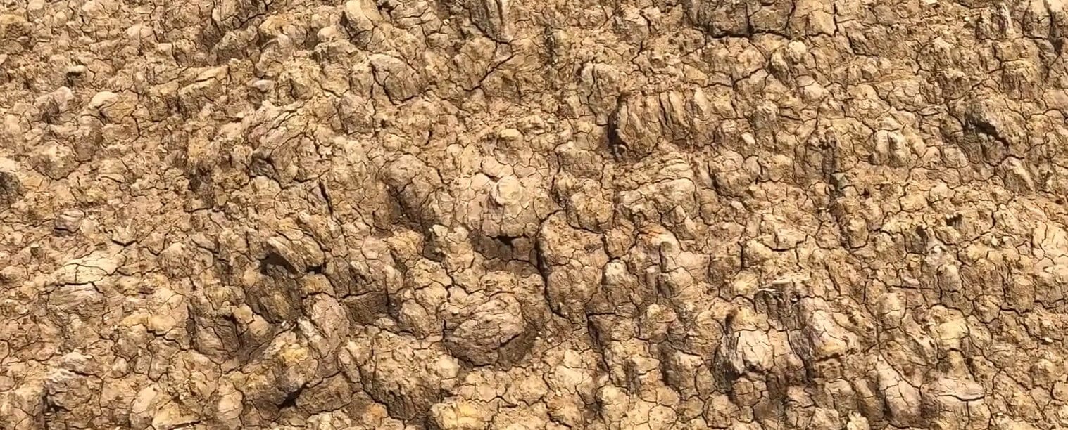 Home 7 Raw Indus River clay prepared for pottery making at Terrachi Clay manufacturing facility