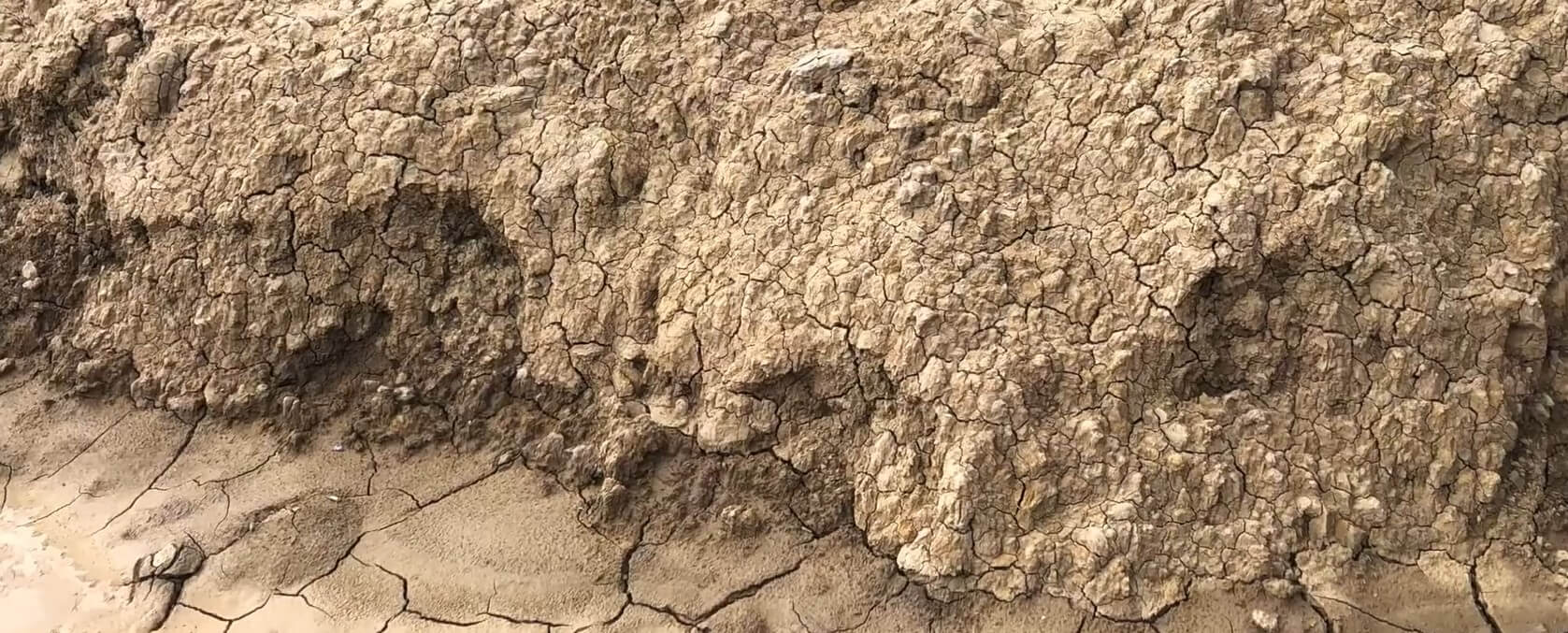 Raw clay collection from the Indus River, the foundation of Terrachi Clay's terracotta production